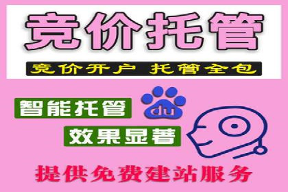 百度竞价托管外包案例：打造行业领军品牌